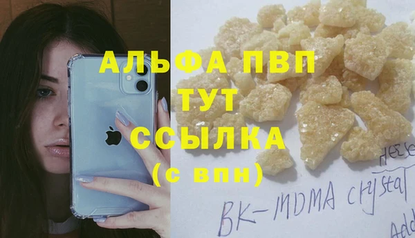 мяу мяу мука Абаза