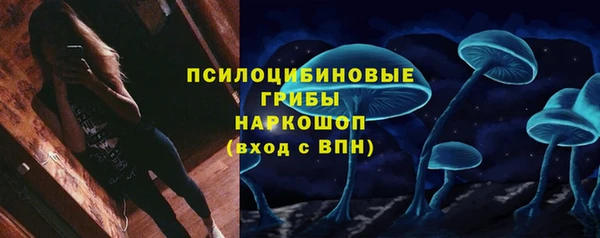мяу мяу мука Абаза