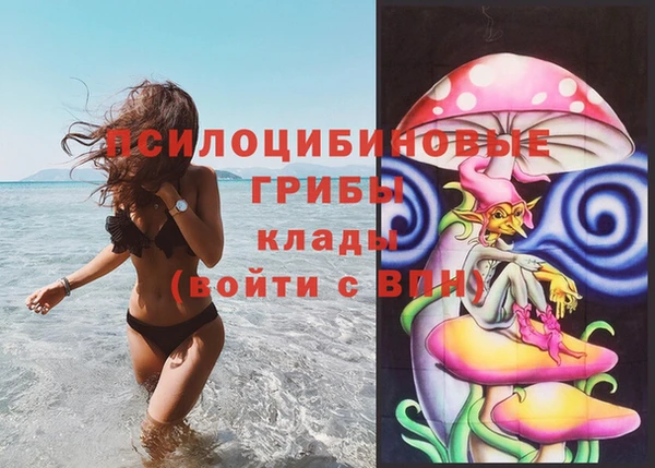 сатива Пролетарск